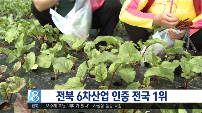 6차산업 인증 전국 1위