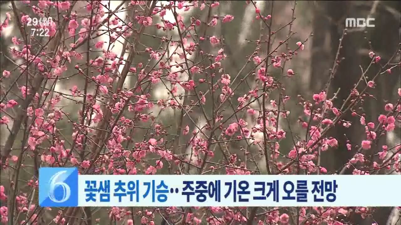 봄이 오는 길목