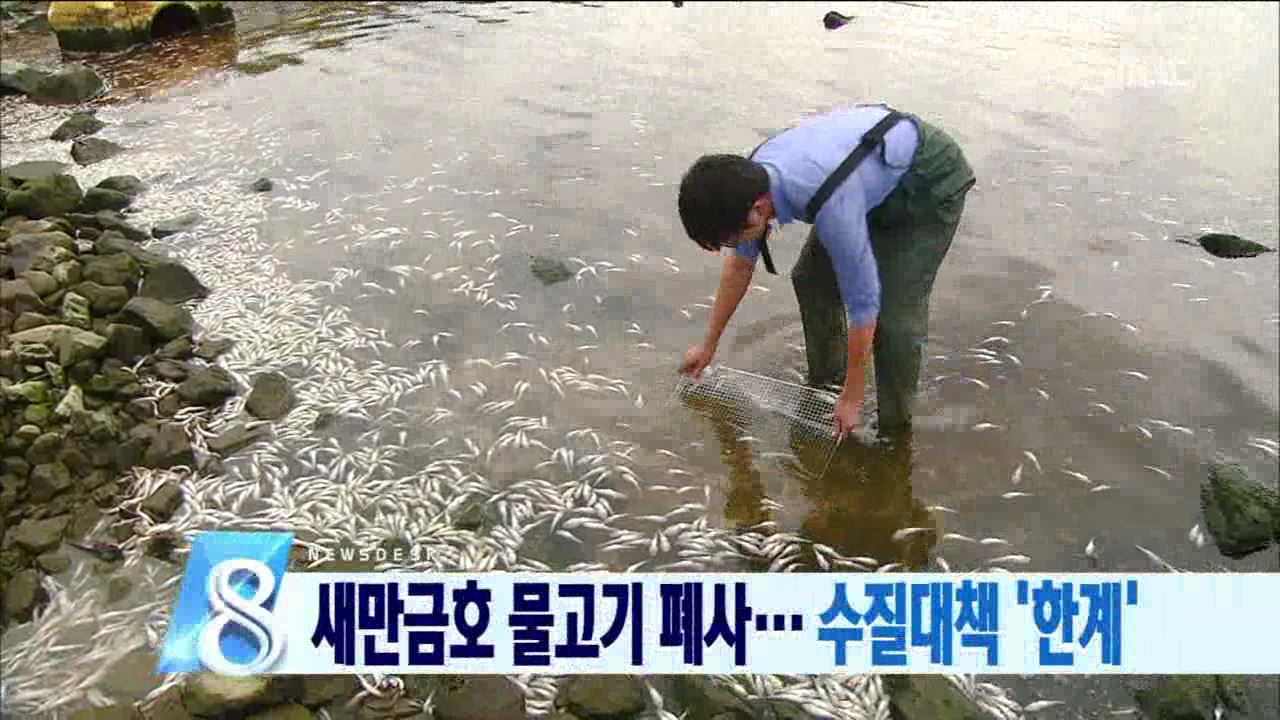 새만금 물고기 폐사 반복