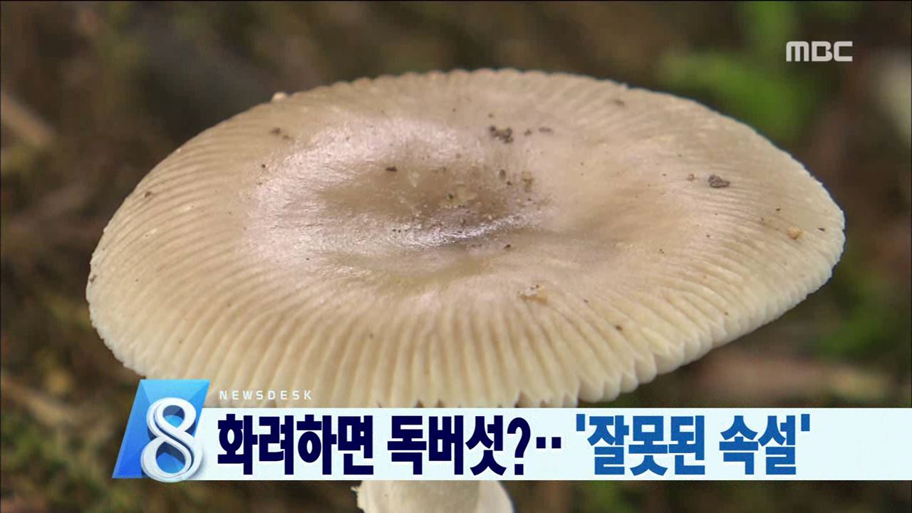 독버섯 감별법