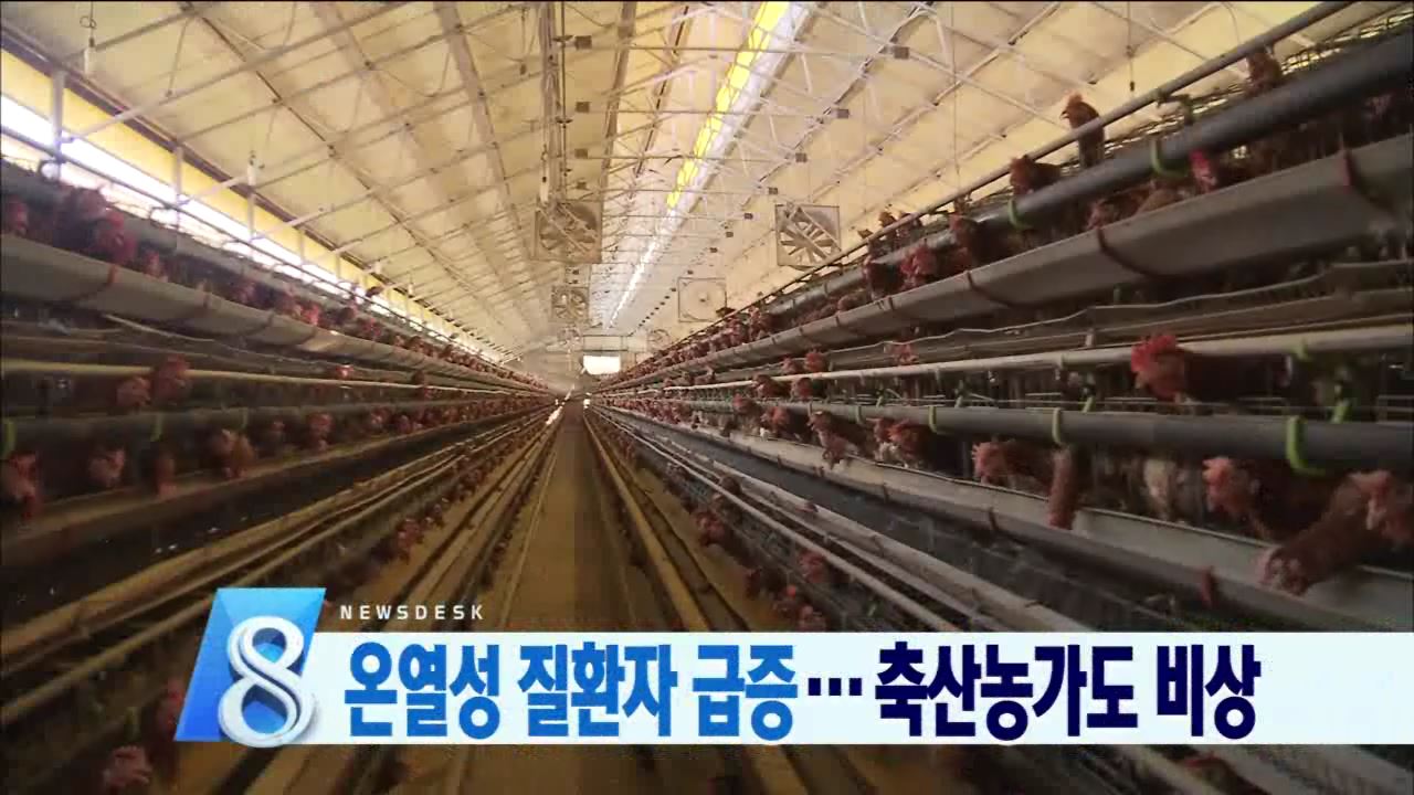 폭염에 축산 농가 비상