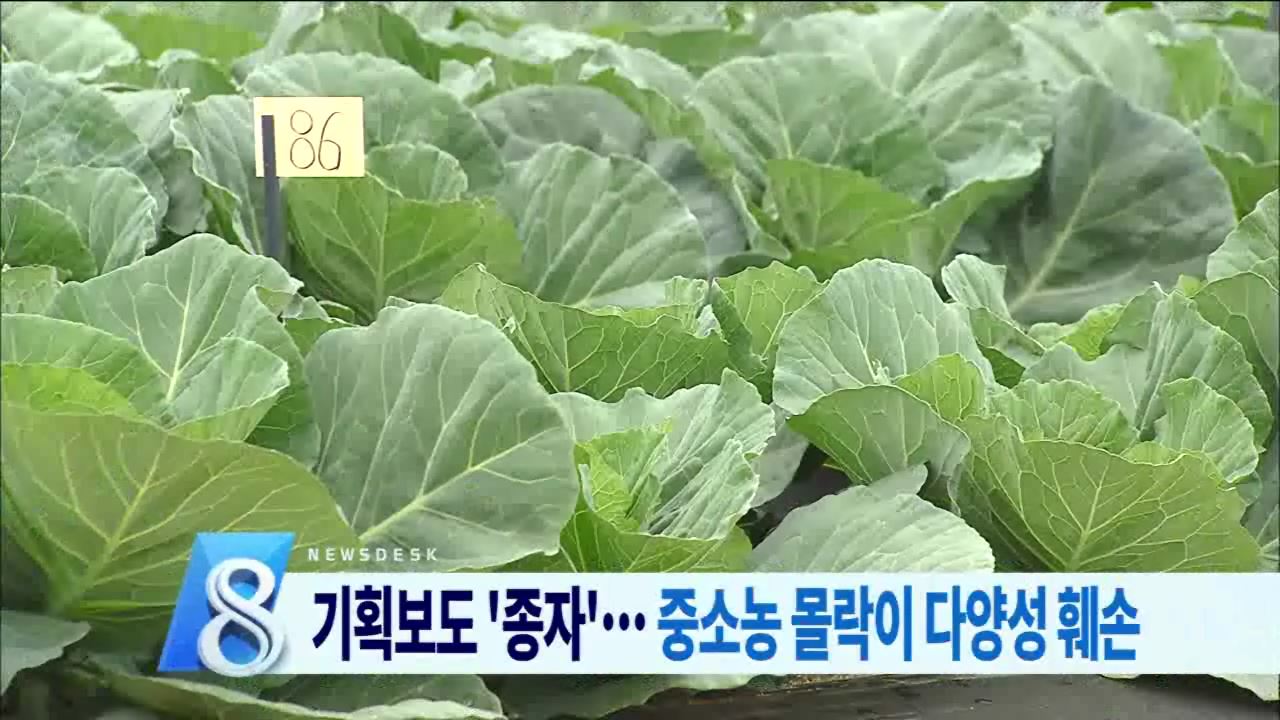 기획보도 '종자'... 중소농 몰락이 다양성 훼손