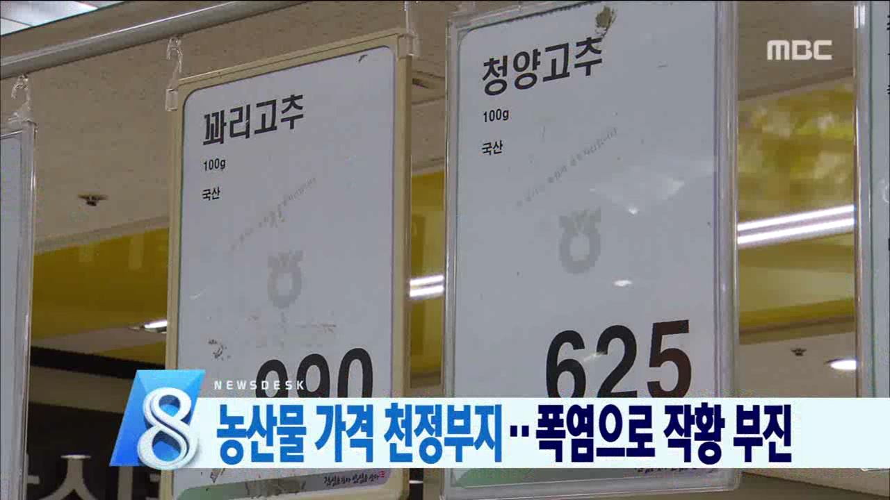 폭염에 채솟값 급등