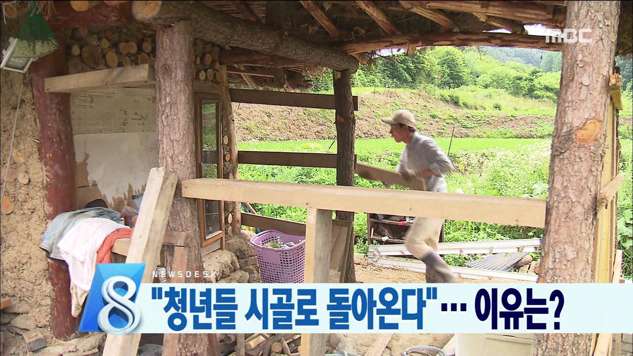 돌아오는 청년들