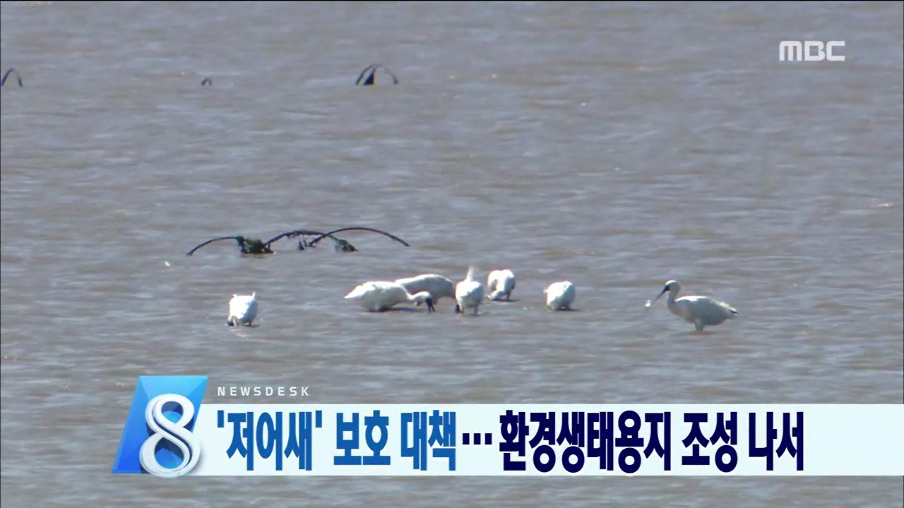 새만금 환경청,저어새 보호조치 촉구