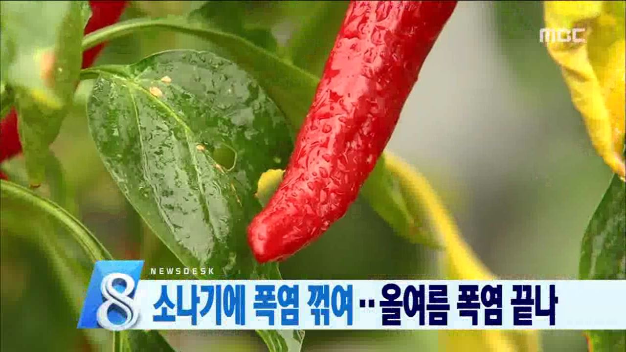 폭염 꺾은 단비