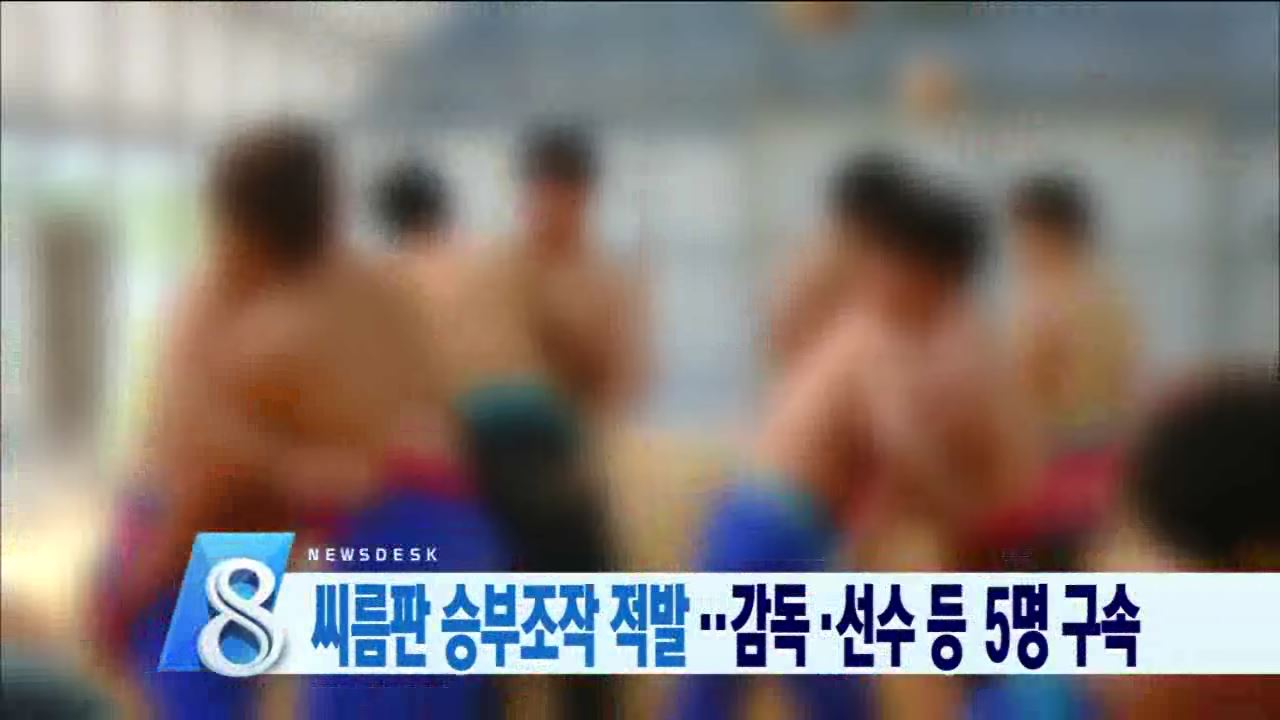 씨름 승부조작 감독 구속