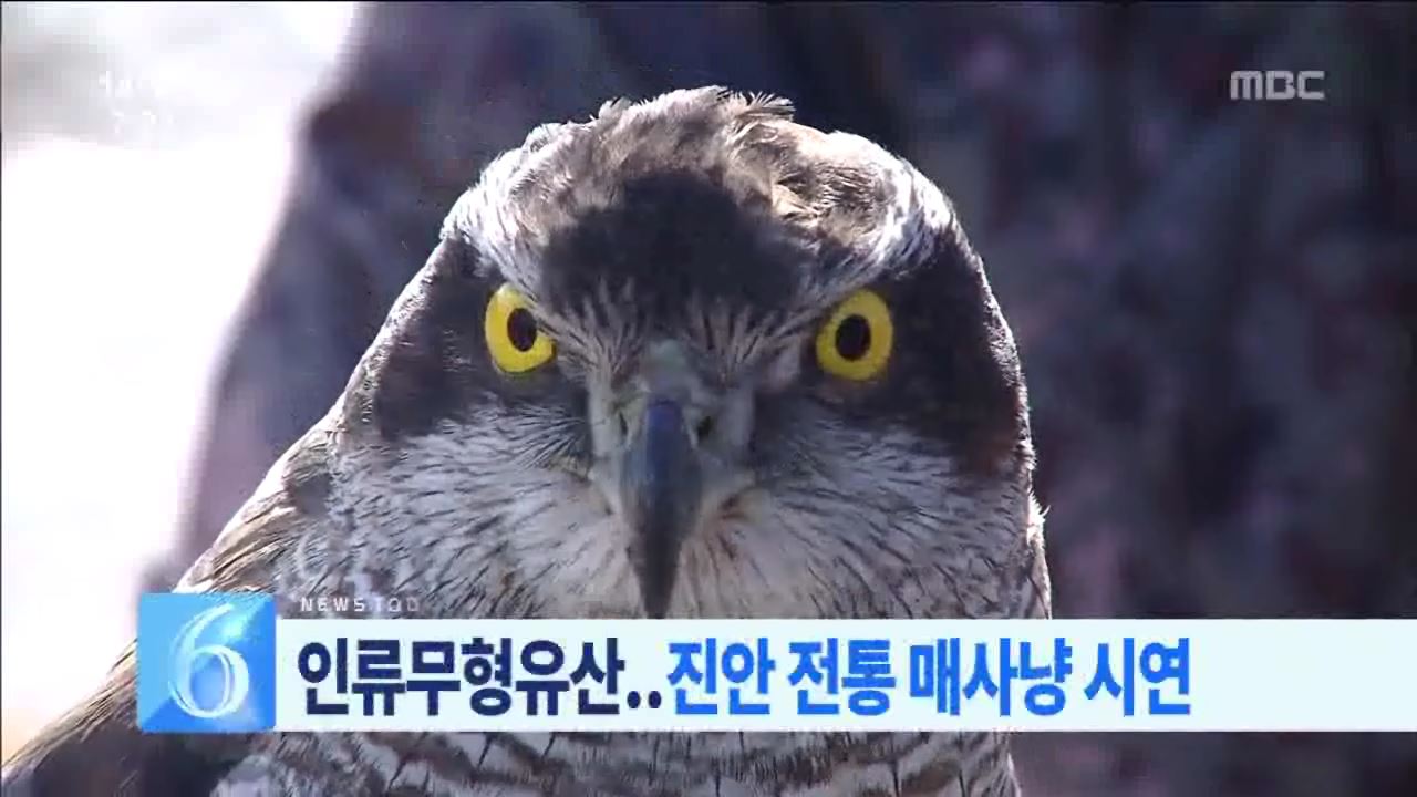 매사냥 시연