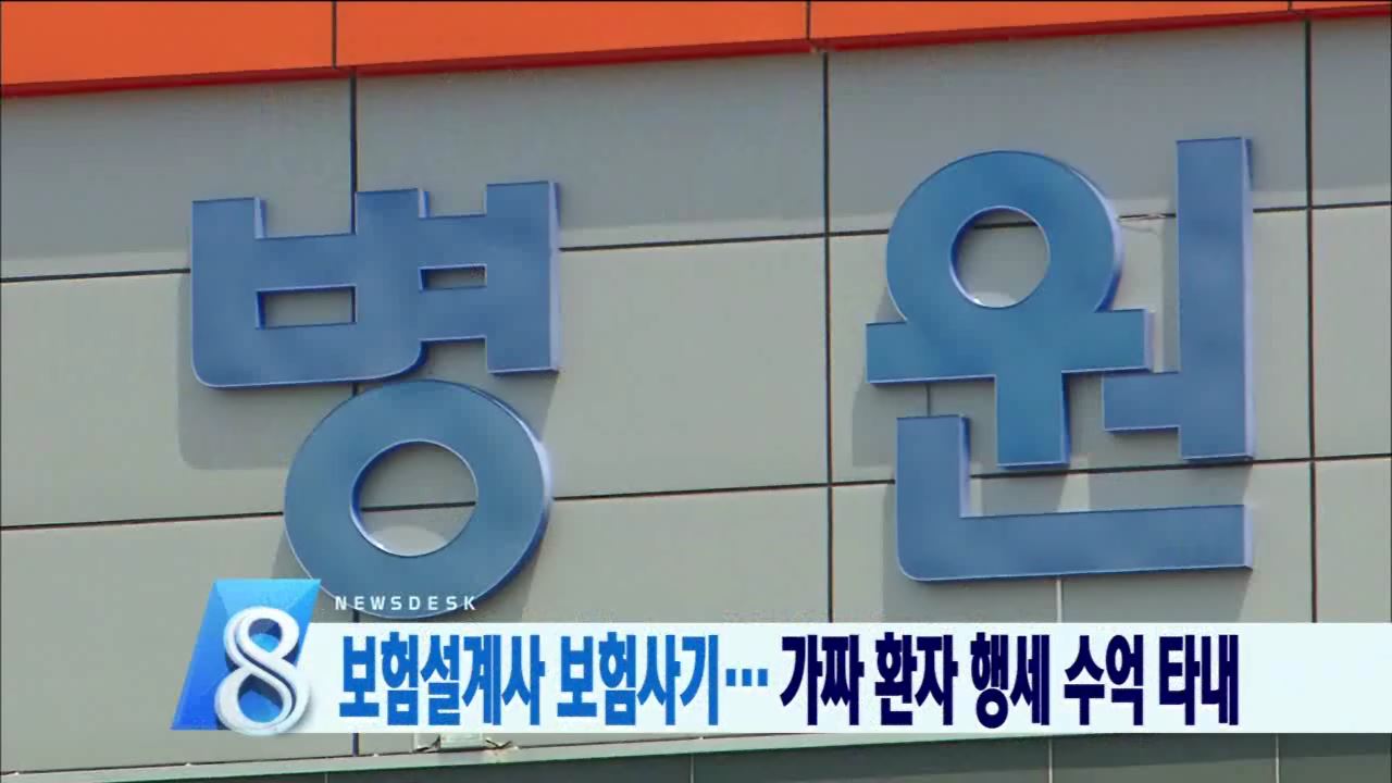 보험 설계사 가담한 보험사기