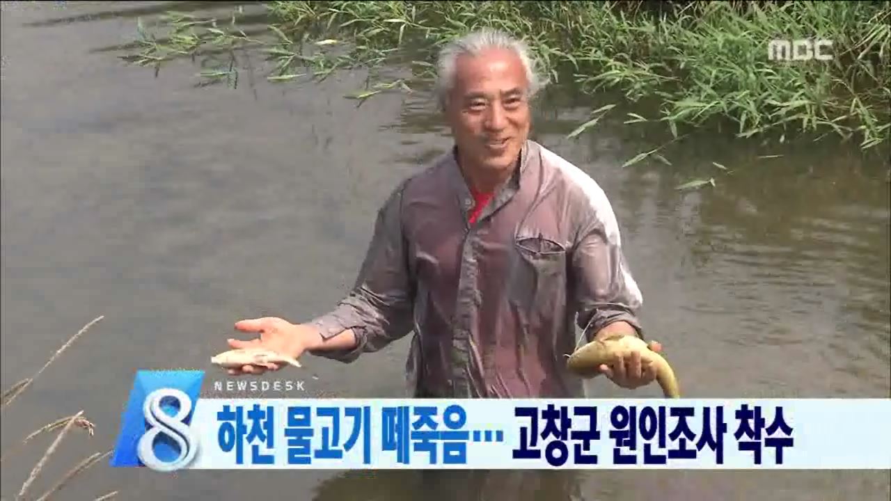 물고기 떼죽음