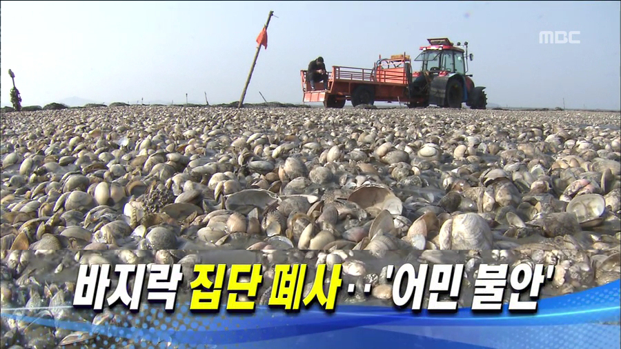 어민들, 조사 요구