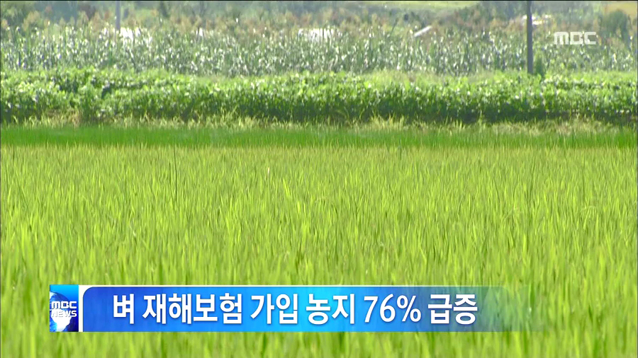 지난해비해 76%증가