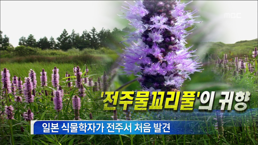 '전주'라는 지명이 들어가