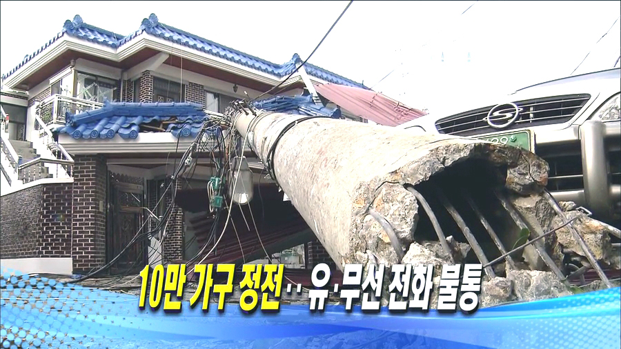 전신주 150여개 절단