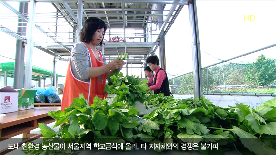 서울학교 밥상 오른다