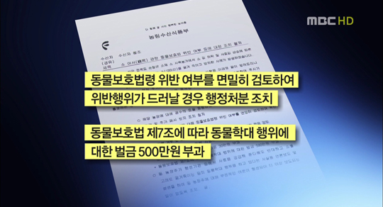 '굶어죽은 소' 주인에게 과태료