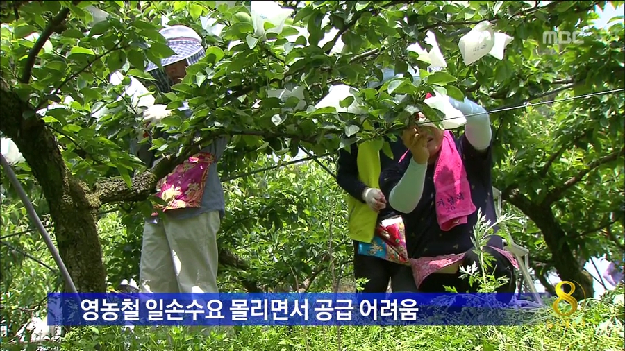 영농철 인력난